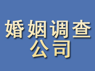 牟定婚姻调查公司